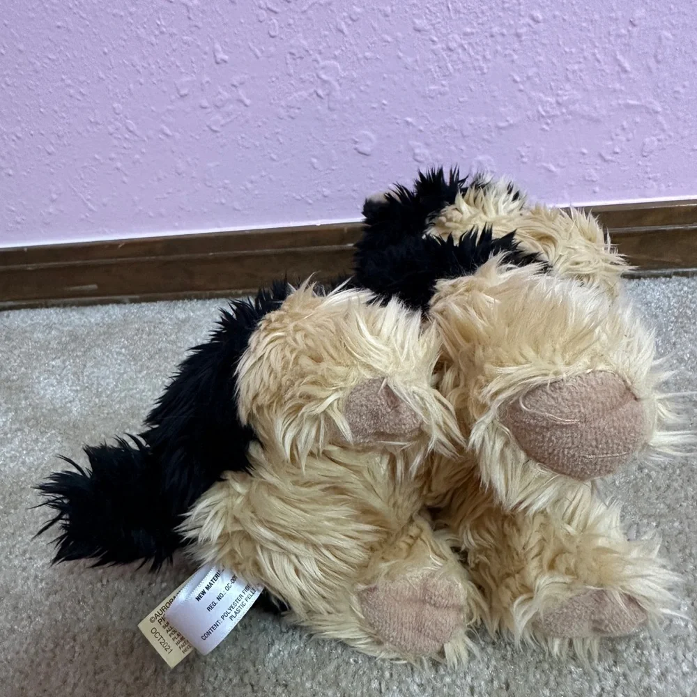 Aurora Miyoni Tots Yorkshire Terrier Yorkie Puppy 8
